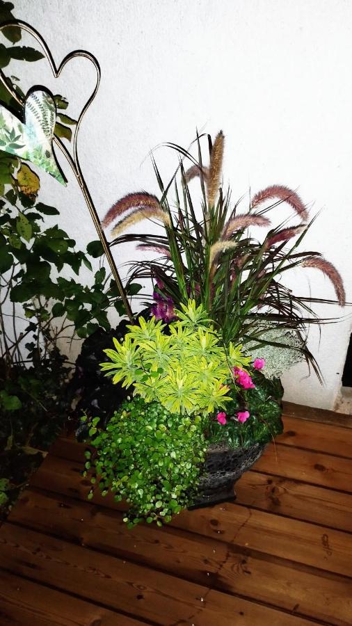 Atelier & Gardenhouse Glamping Hotell München Exteriör bild